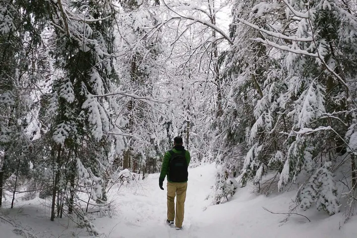 a man is cross country skiing in the snow