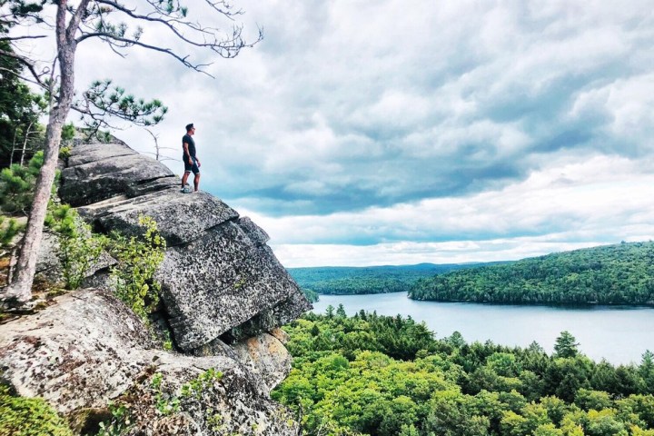 person looking out over a vista