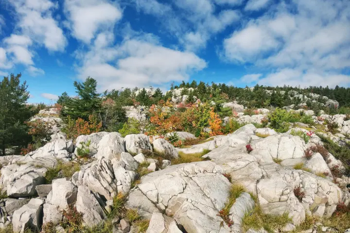 a close up of a rock