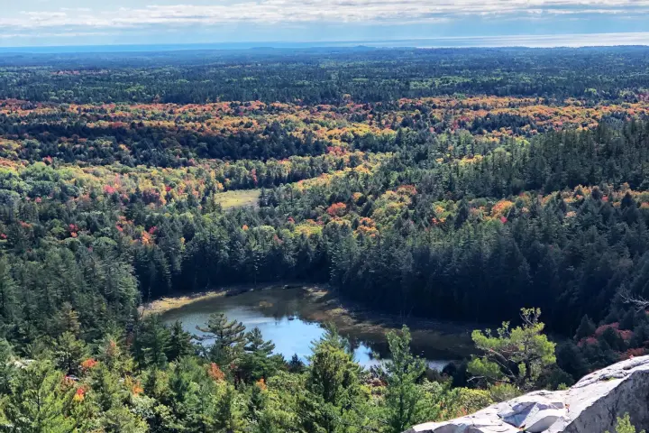 a view of a large rock