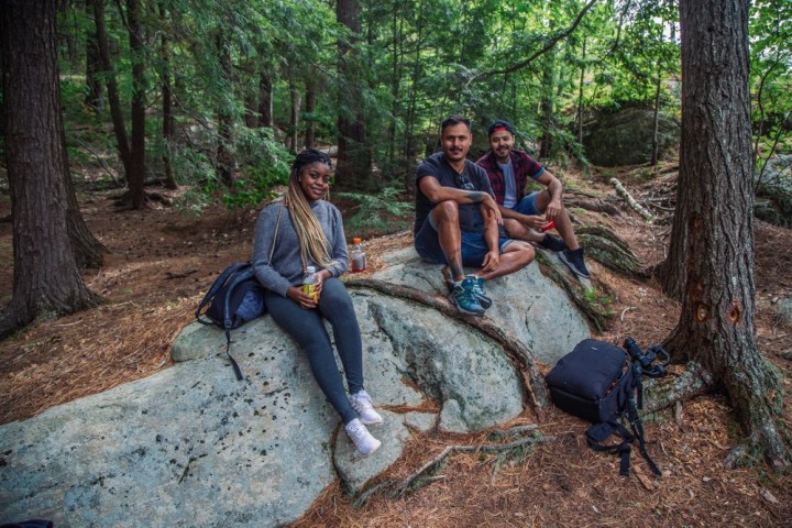 three people sitting in a forest