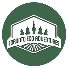 Toronto EcoAdventures
