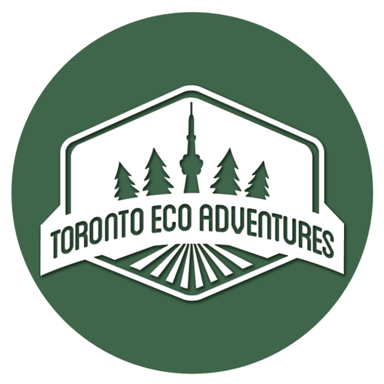 Toronto Eco Adventures logo