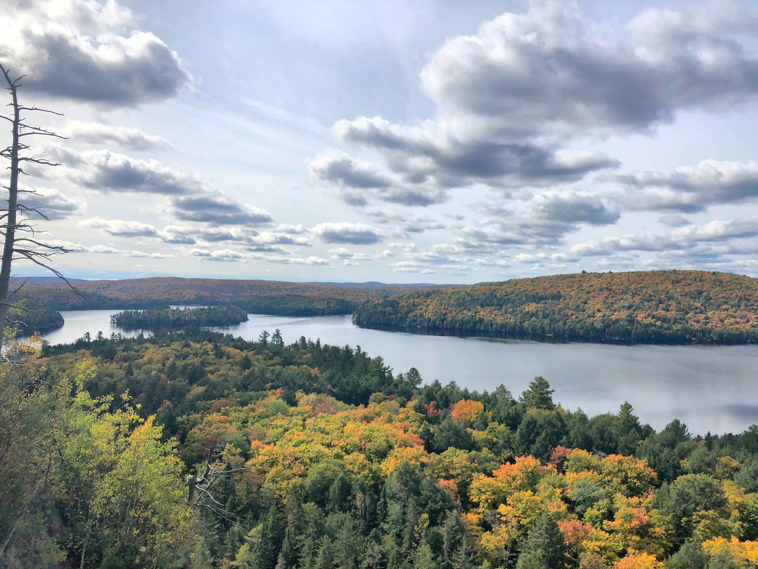 Algonquin Autumn Adventure | Toronto EcoAdventures