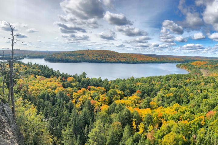 a large body of water with trees in the background