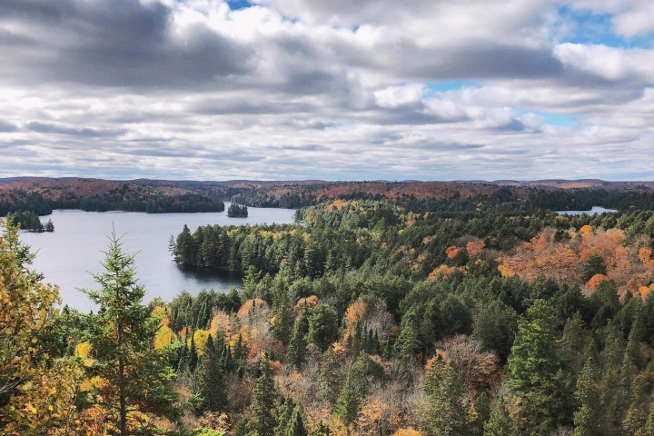 a river with a city in the background