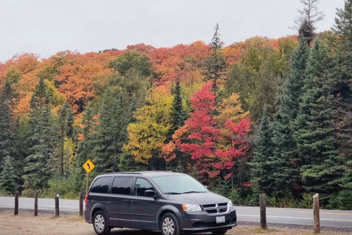 a car driving down a street next to a tree