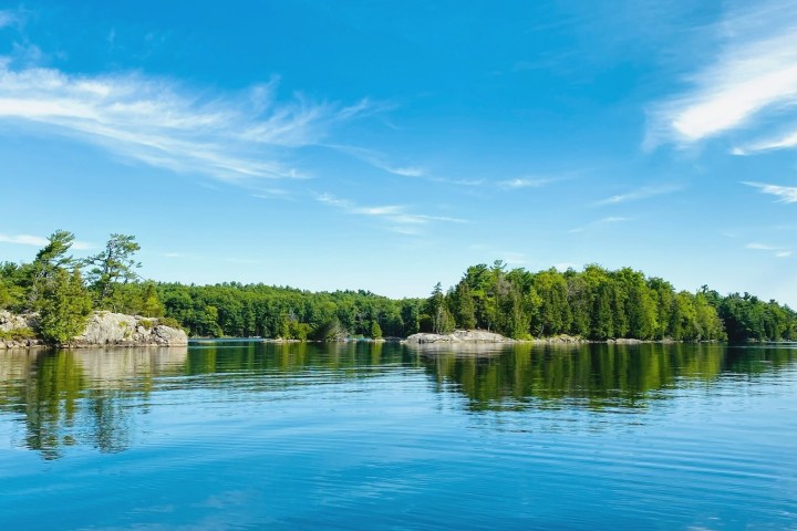 a small boat in a body of water surrounded by trees
