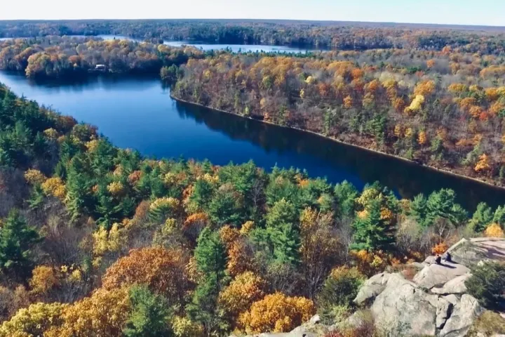 a view of a large body of water surrounded by trees