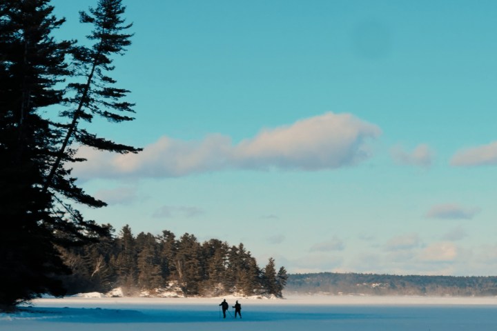 a group of people in the water