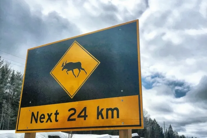 a sign on a pole in the snow