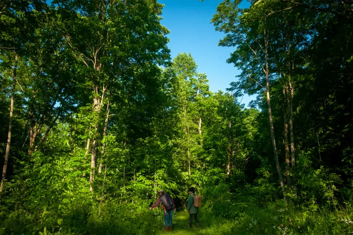 a man standing next to a tree