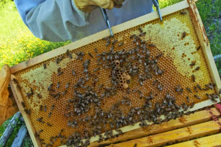 a stack of brochures on a wooden bench