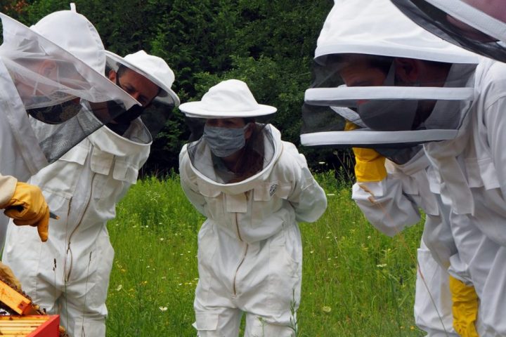 a group of people that are standing in the grass