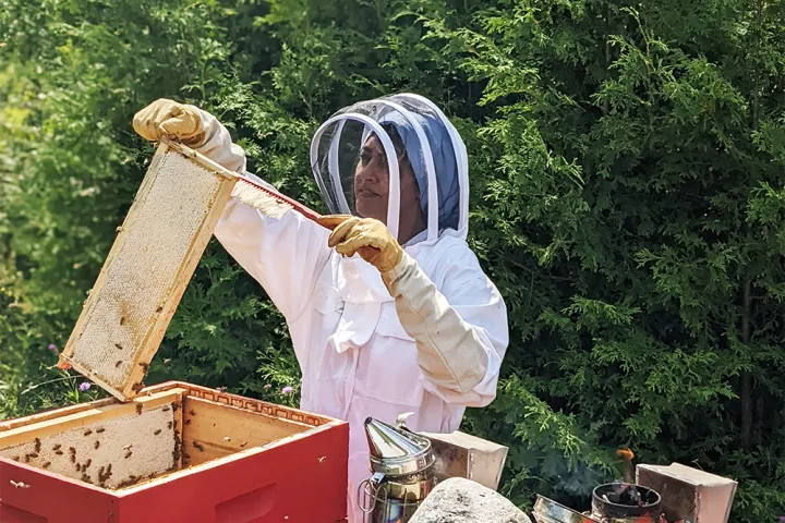 a close up of a flower garden