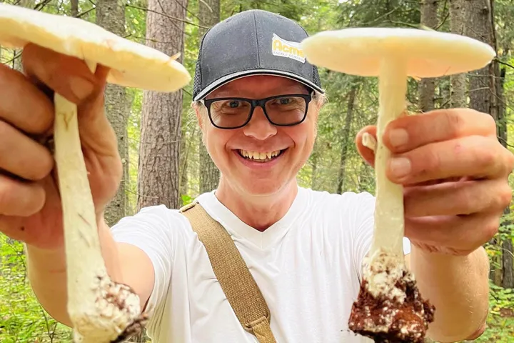 a person holding a hot dog