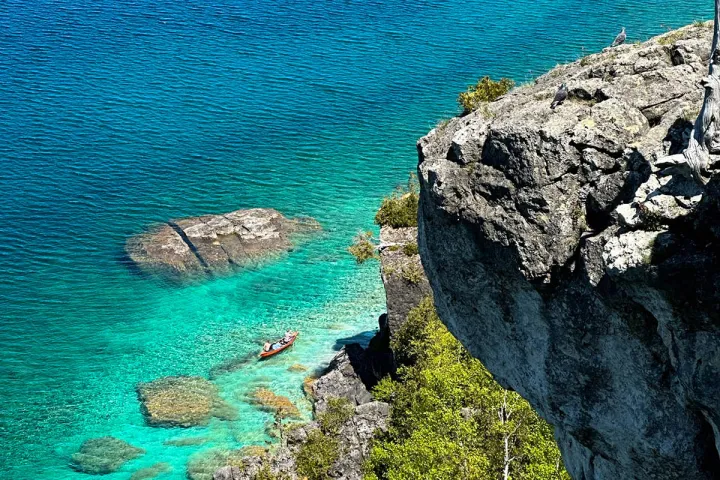 a close up of a rock near the ocean