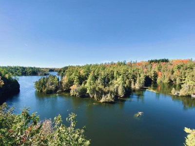 a body of water surrounded by trees