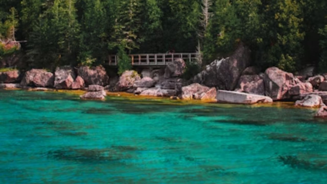 Turquoise water with rocky shoreline and dense green trees in background.