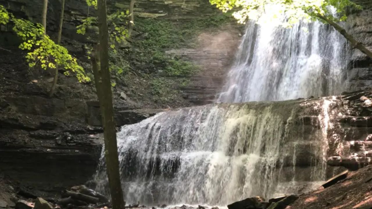 Multi-tiered Sherman Falls flowing over rocky ledges in a shaded forest setting with sunlight filtering through green trees