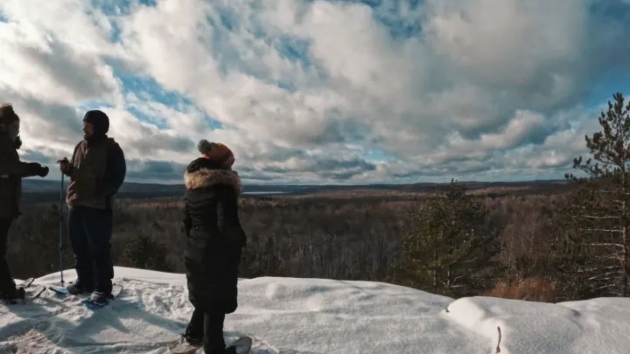 A woman overlooking at the Algonquin Provincial Park