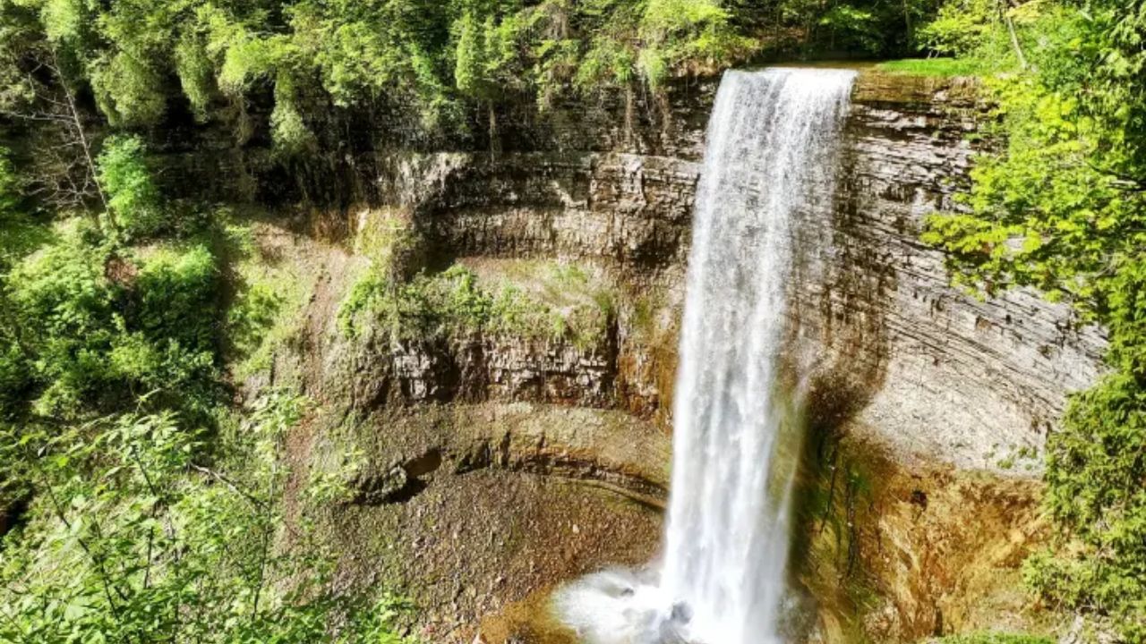 Tew Falls waterfall cascading over layered rock cliffs surrounded by lush green forest