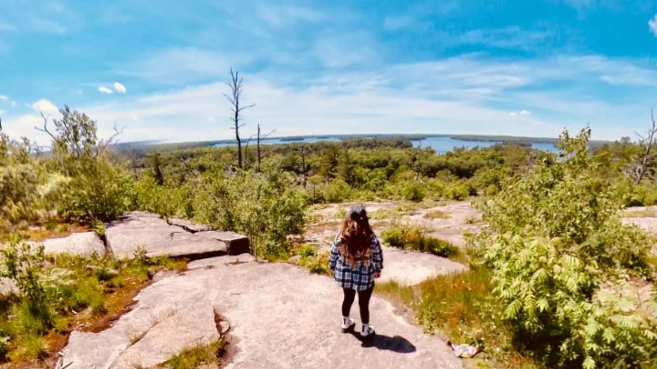 A woman standing at Muskoka overlooking dense green forest and distant blue lakes