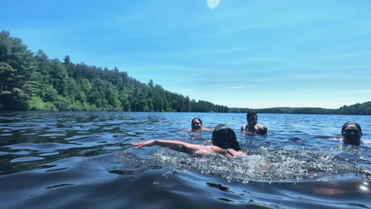  Group of people swimming in a lake surrounded by forest on a sunny day in Algonquin Park.
