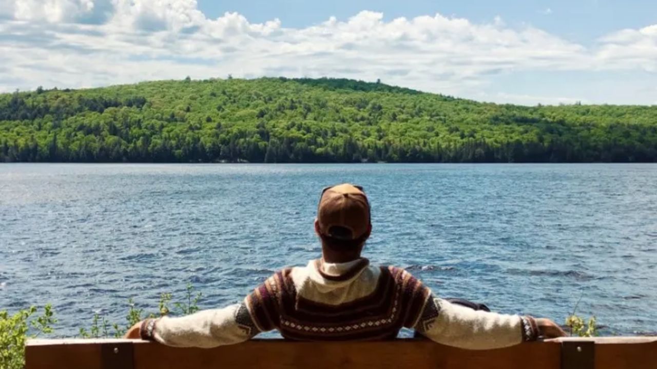  Relaxing lakeside view in Algonquin Provincial Park with forest and calm water
