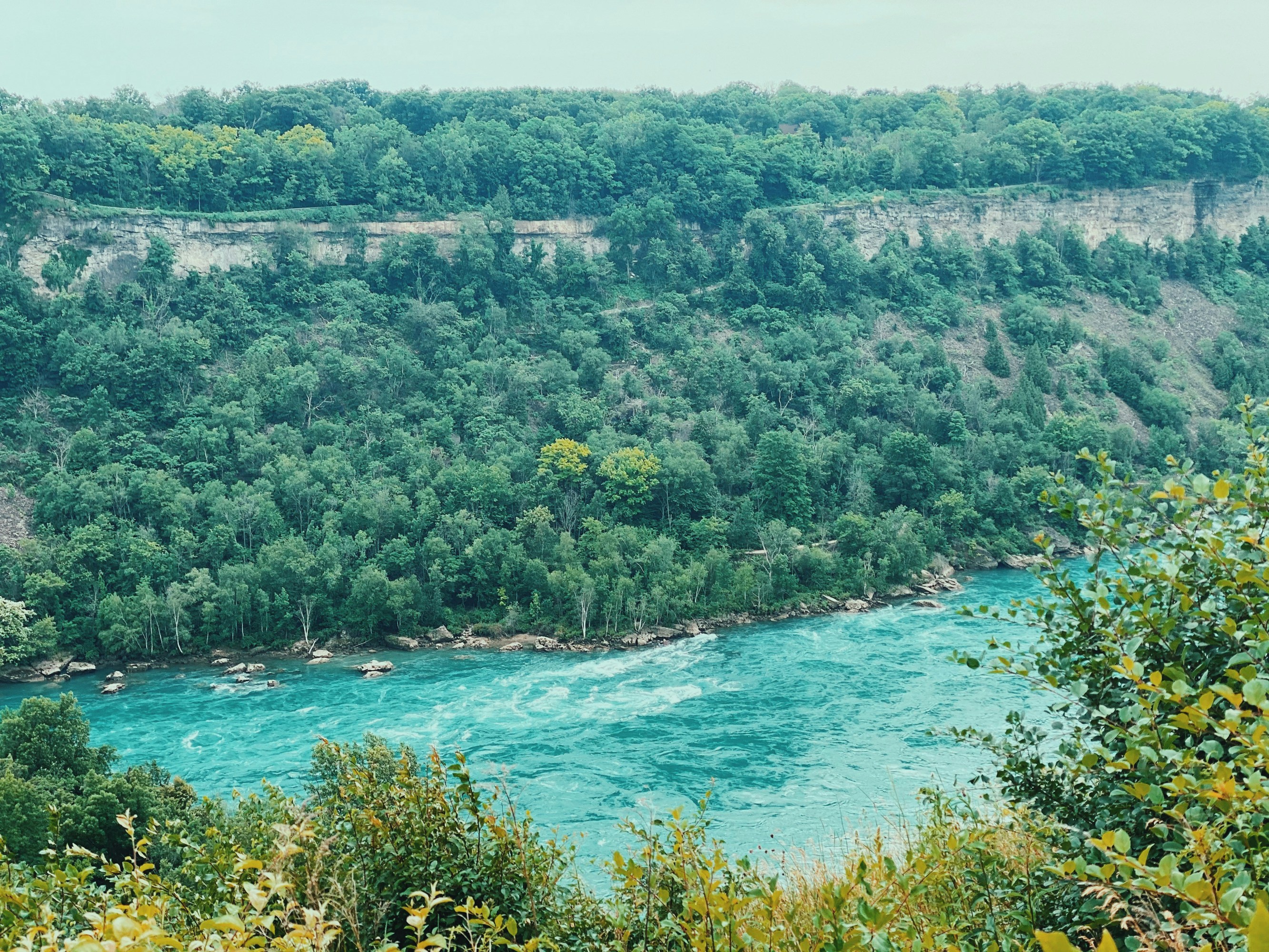 Scenic view of the Niagara River winding through a forested gorge with turquoise waters and rugged cliffside landscapes