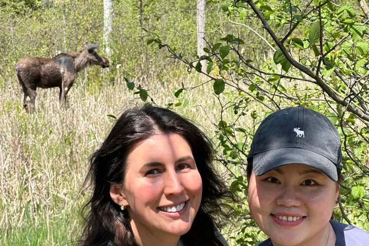 Visitors smiling beside a moose in Algonquin Park.