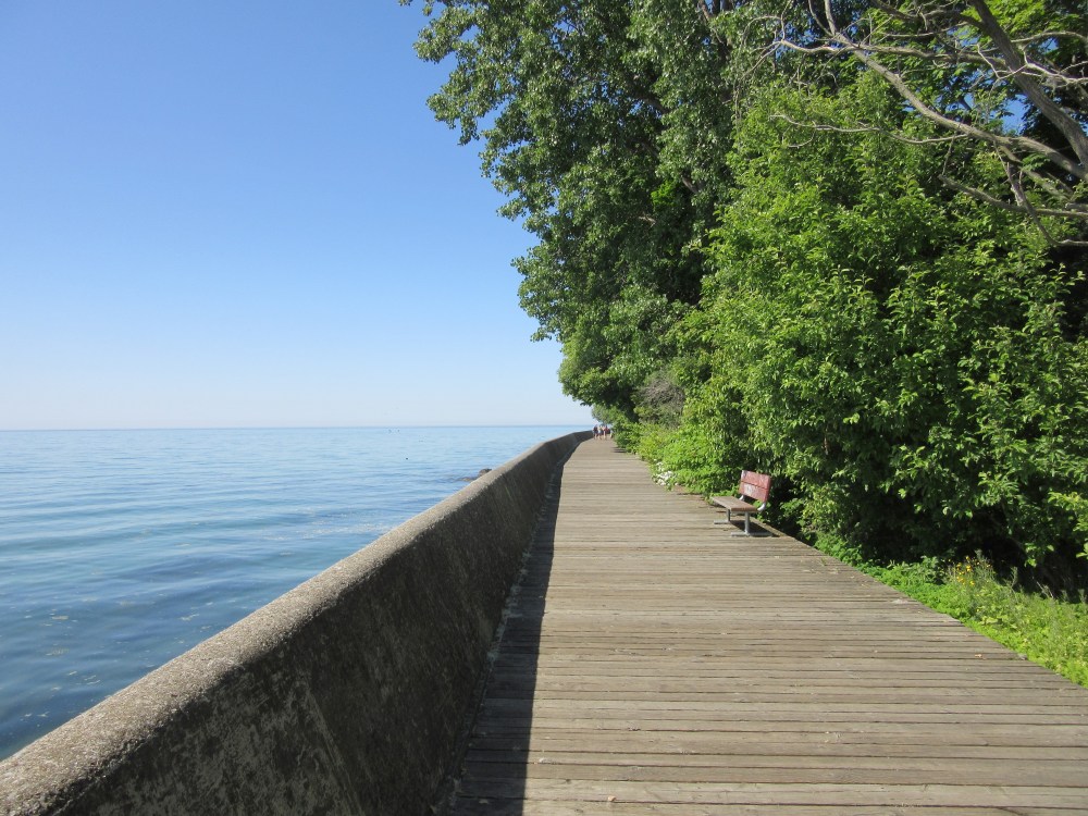 Peaceful lakeside boardwalk shaded by lush trees along the shoreline of Toronto Islands on a sunny day