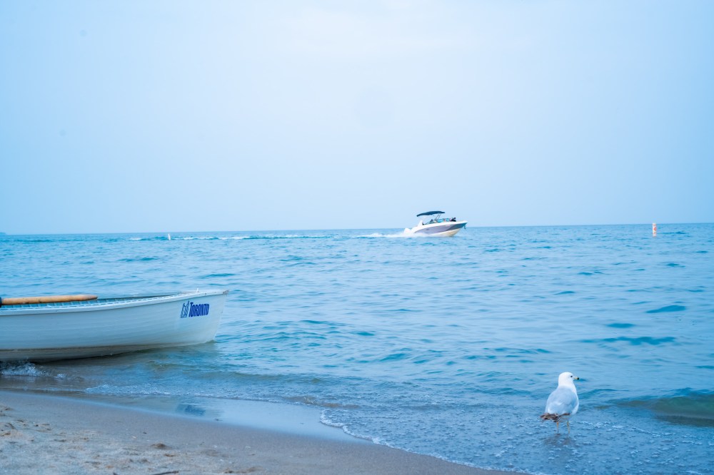 Boat and seagull along the sandy shoreline of Grand Bend Beach with Lake Huron in the background