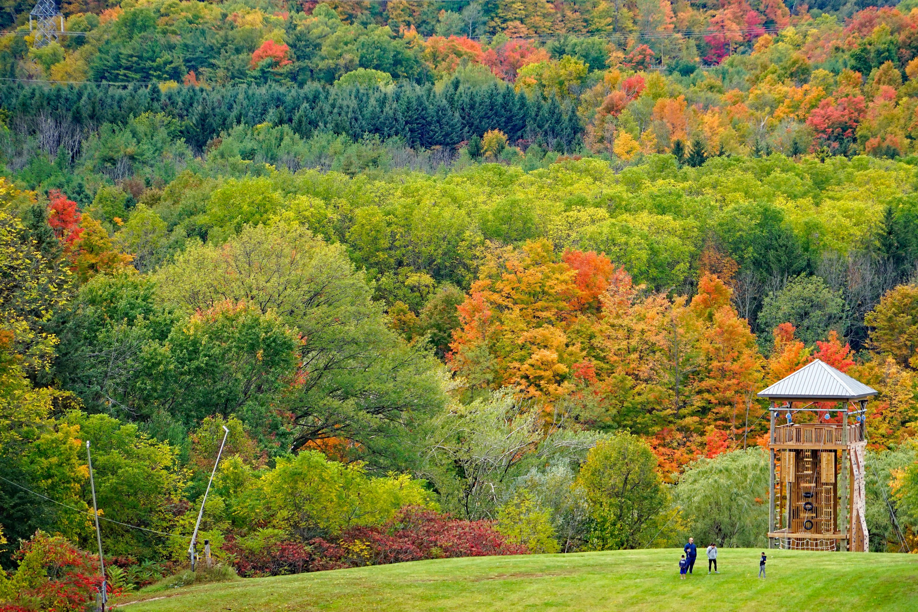Colourful fall foliage surrounding an outdoor adventure tower at Kelso Conservation Area in Milton, Ontario.
