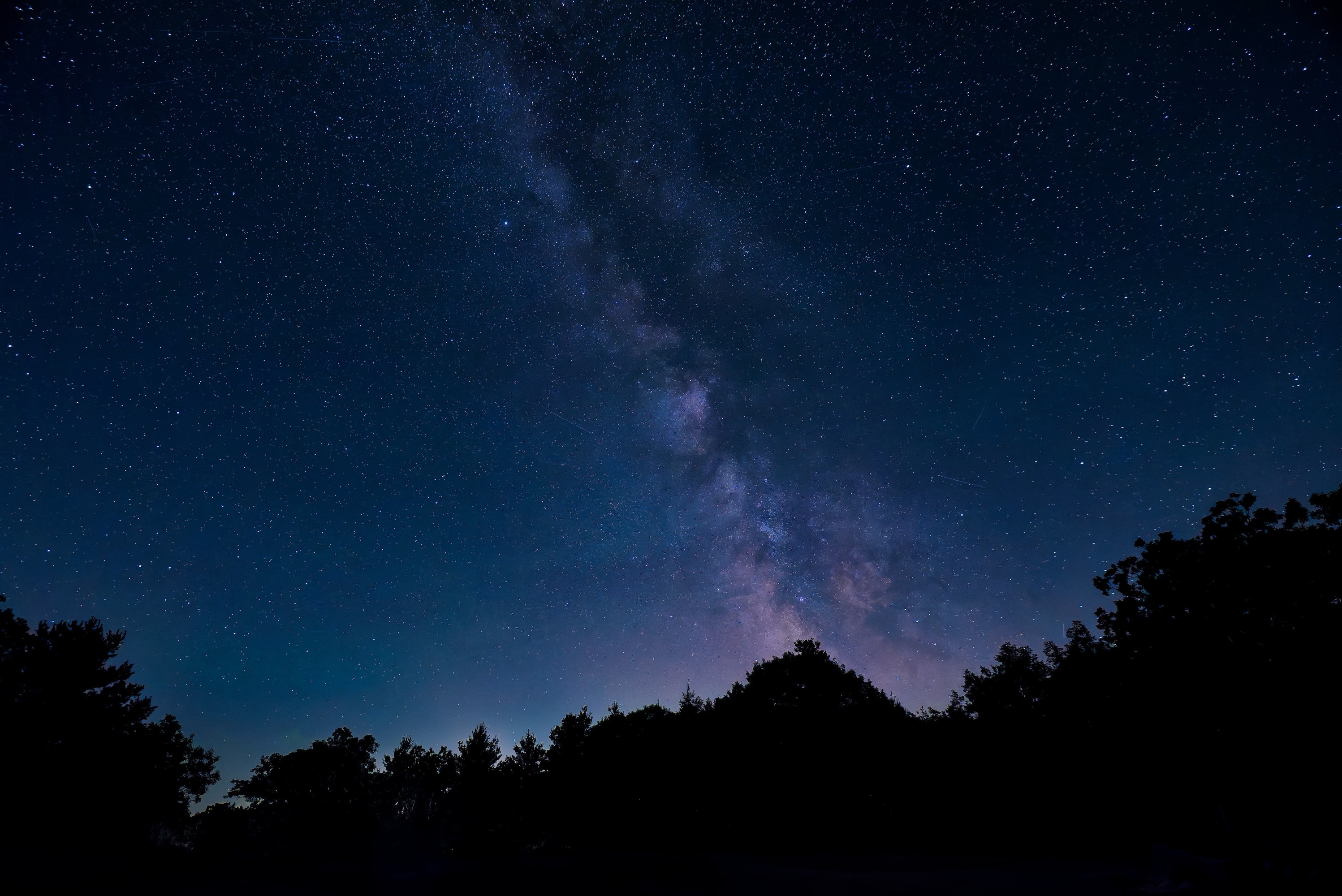 Milky Way and countless stars glowing above a dark forest, showcasing ideal stargazing conditions in Ontario.