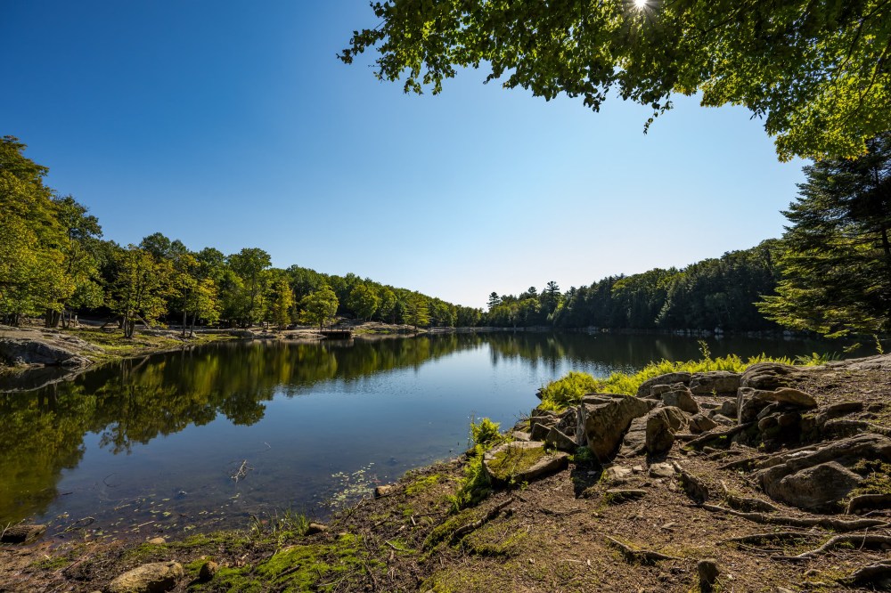 Peaceful Ontario lake surrounded by lush forest and rocky shoreline