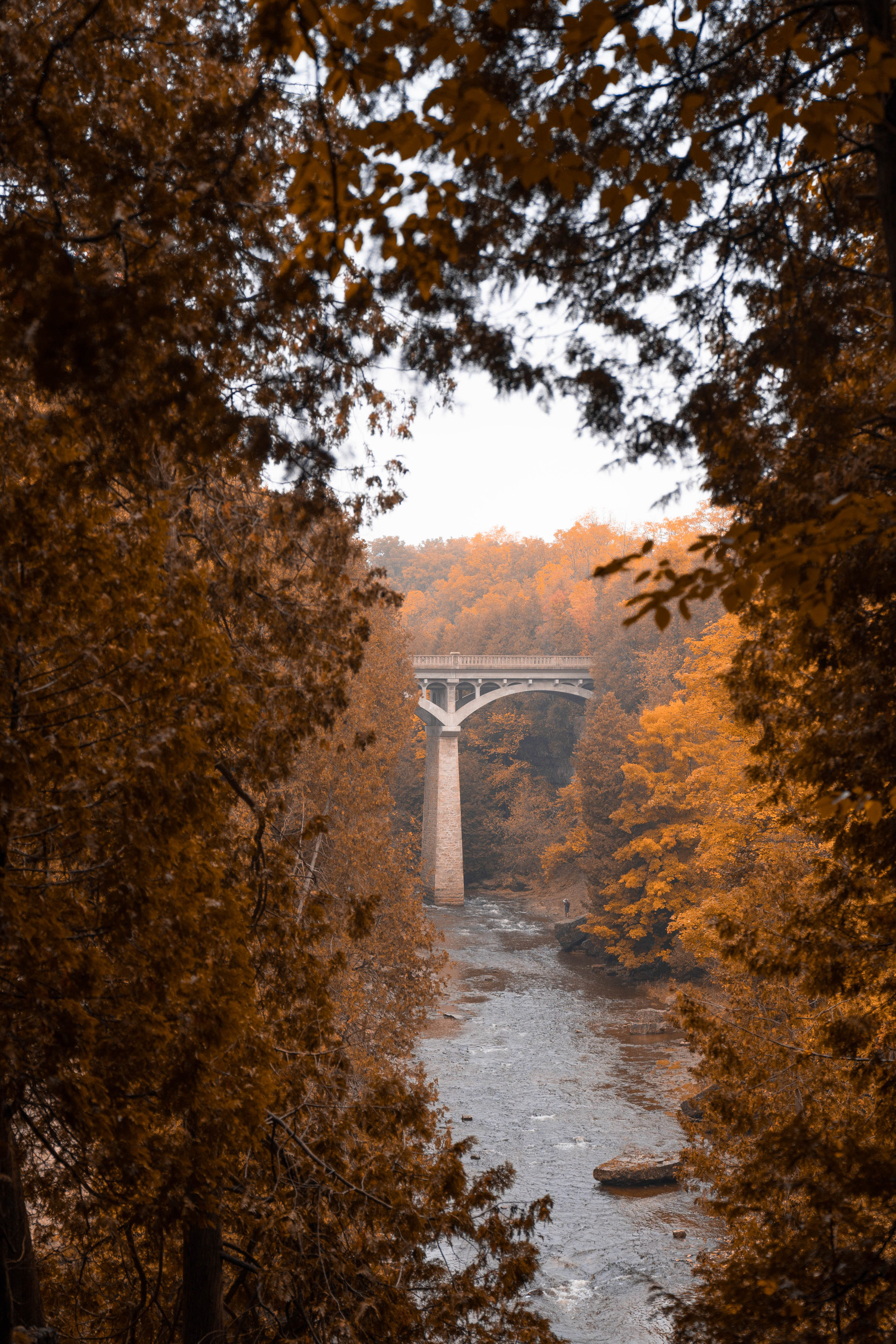 Scenic view of the Elora Gorge, river, and bridge framed by vibrant autumn foliage in Ontario