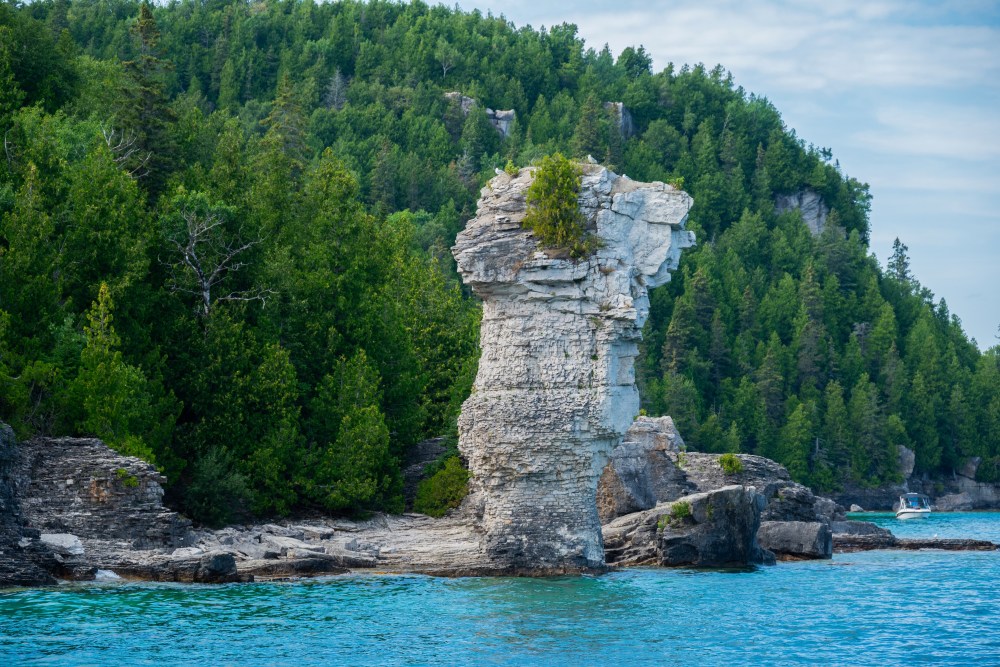 Towering limestone flowerpot formation surrounded by turquoise water and dense forest on Flowerpot Island