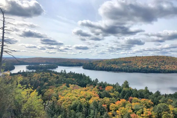 Elevated scenic view of a wide lake surrounded by vibrant autumn foliage under a cloudy sky at Algonquin Provincial Park