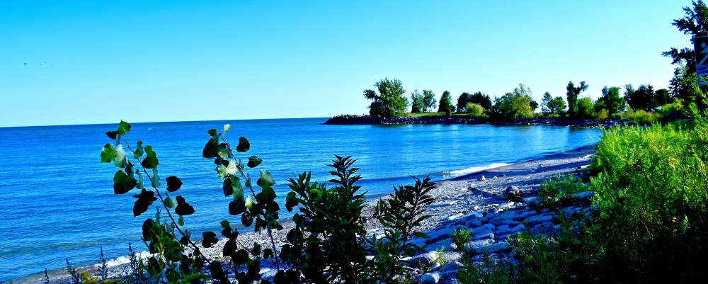 Rocky beach and clear blue lake shoreline at Bluffer’s Park.