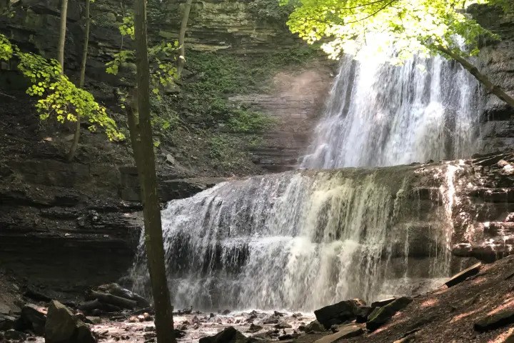 Scenic Webster Falls waterfall flowing over rock formations.